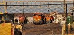 The BNSF Swoosh Logo Paint Jobs Stand Out As The Setting Texas Sun Reflects Off The Locomotives. 